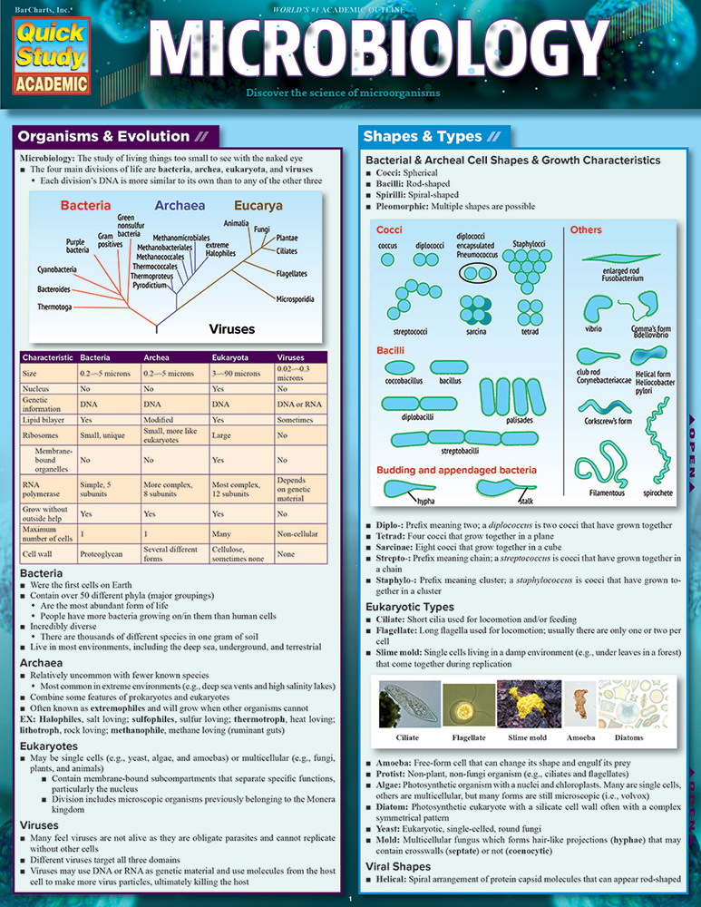 Microbiology