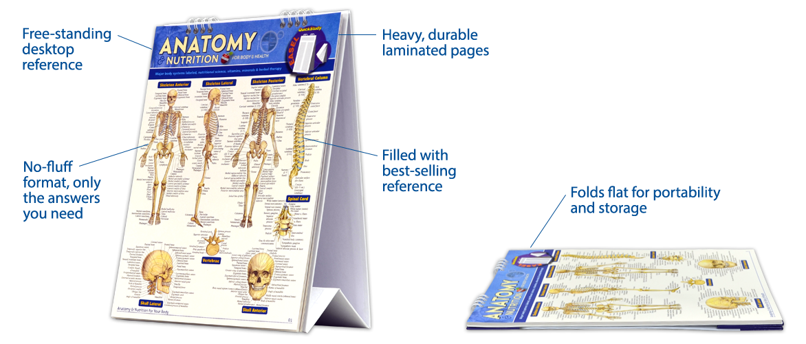 Body parts flip chart